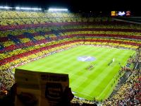 IM竞技-双星闪耀，森林狼绝境逆袭与字母哥欧陆封王的夜晚