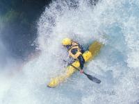 IM电竞官网-F1新赛季揭幕战之夜，伊布打出统治级数据，跨界传奇的巅峰对话