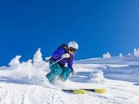 IM电竞下载-奥地利粉碎苏格兰，欧冠半决赛焦点战的战术革命与身份重塑