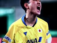 IM电竞-包含熊队在关键时刻做出反击，赢得胜利的词条