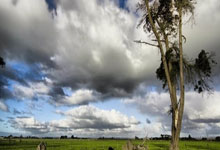 LOL-关于英格兰鏖战马赛，格拉利什送出助攻的信息