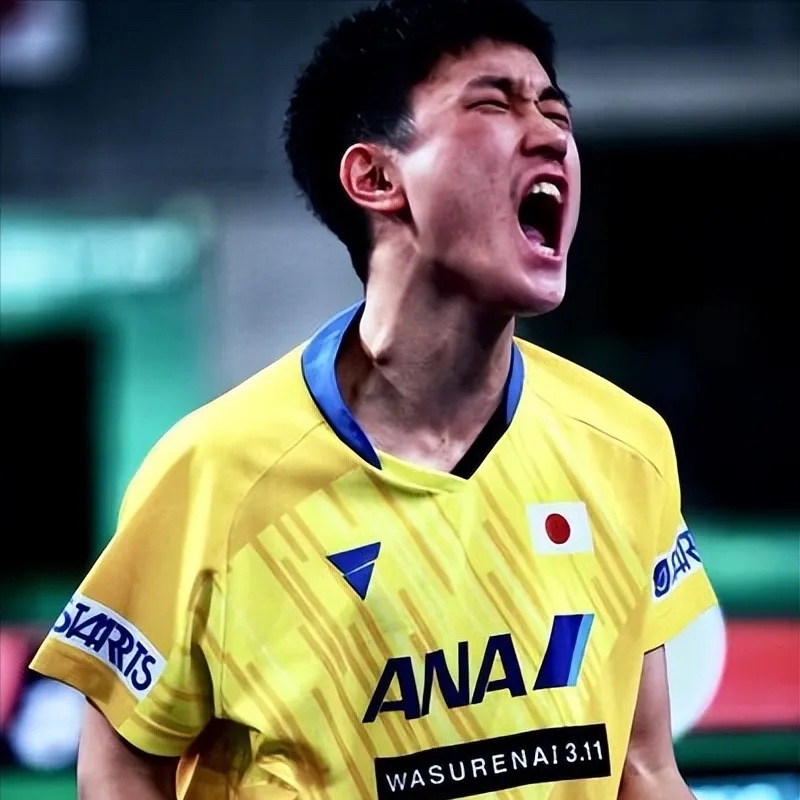 包含熊队在关键时刻做出反击,赢得胜利的词条 包含熊队在关键时刻做出反击,赢得胜利的词条