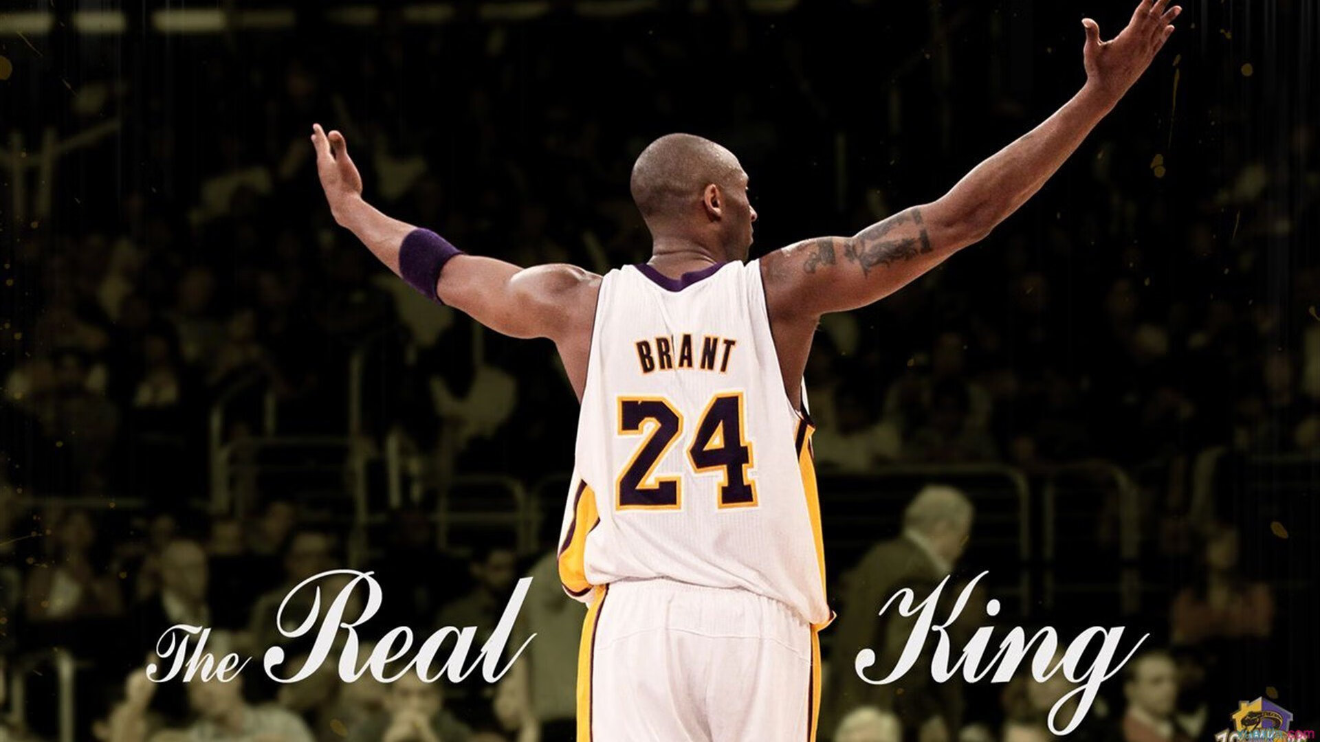 铁壁魔术,季后赛防守艺术如何锁死尼克斯进攻引擎