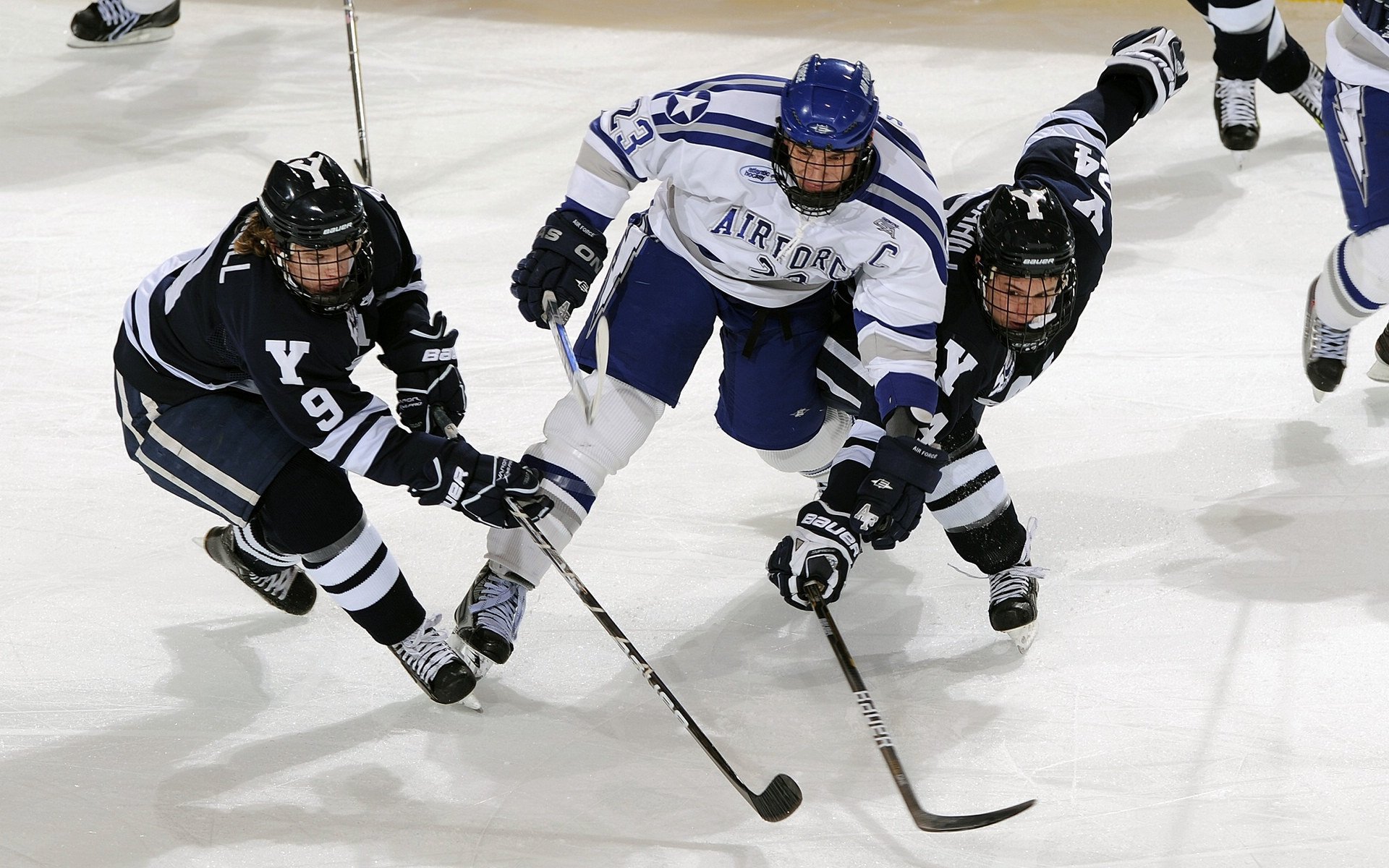 特奥关键进球定乾坤,突尼斯带走奥地利—北非雄狮的坚韧与智慧